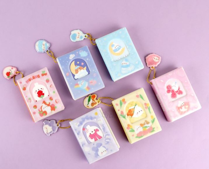 MOLANG Photocard Collect Book